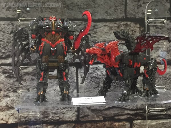 Hascon 2017 Transformers Display Booth  (56 of 72)